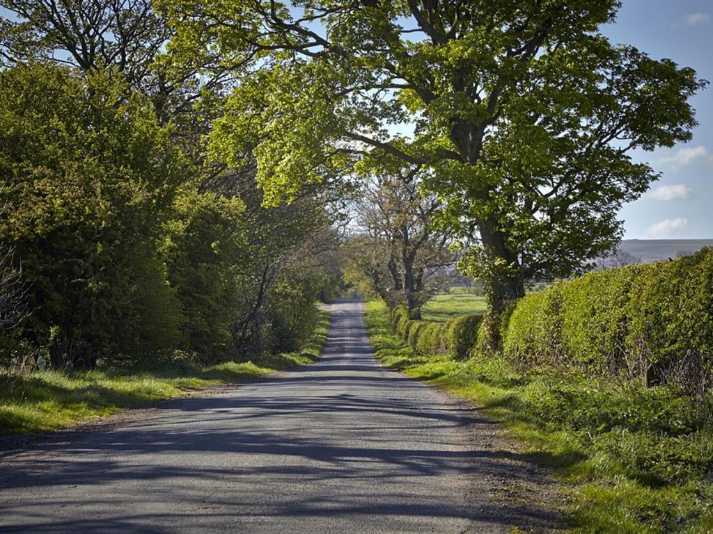 Lily Hill Farm Bed and Breakfast Barnard Castle Exteriör bild