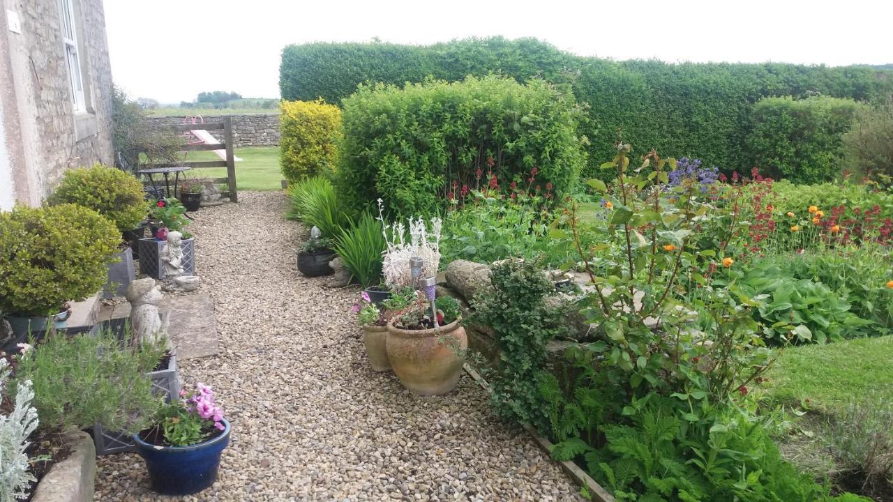Lily Hill Farm Bed and Breakfast Barnard Castle Exteriör bild